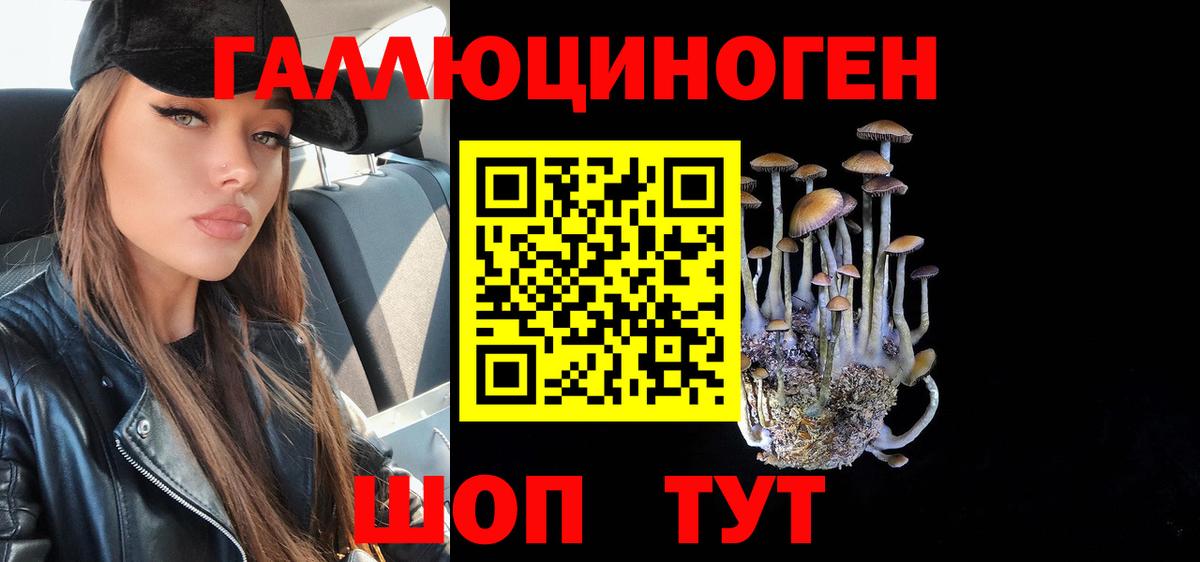 Псилоцибиновые грибы Cubensis Семёнов